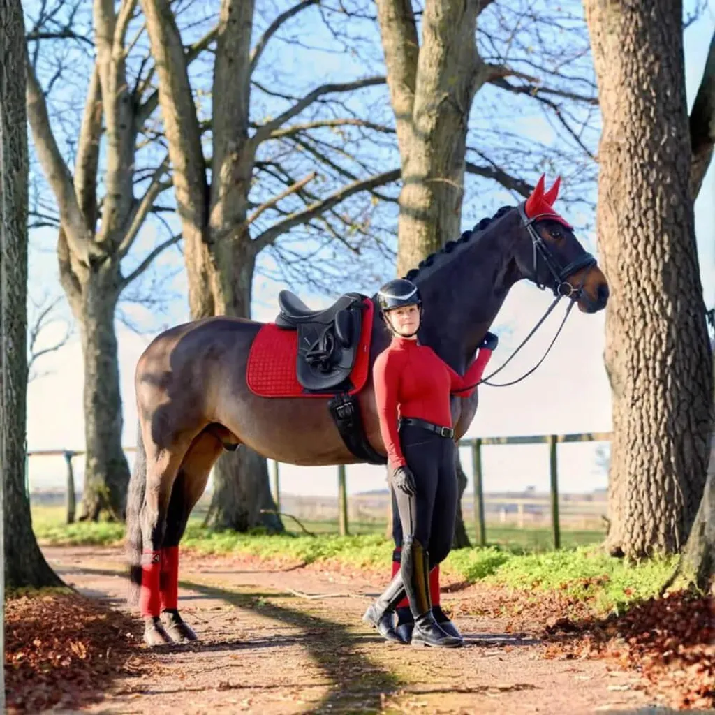 Tapis de dressage LeMieux Suede Chili L idéal pour concours et club