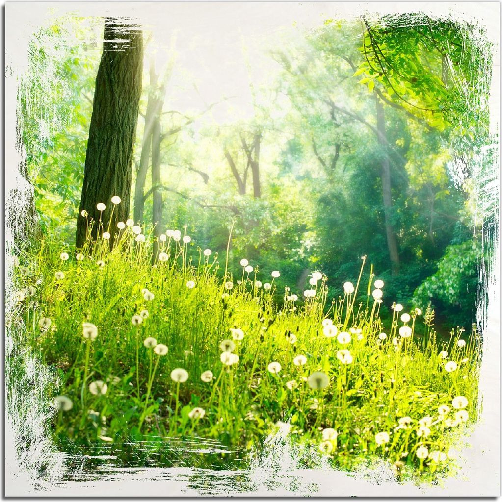 Kunstdrucke Wandbilder Holz in : Brillante Farben, Größe 50 x 50 cm Motiv Pusteblumen im Wald mit einfallenden Sonnenstrahlen