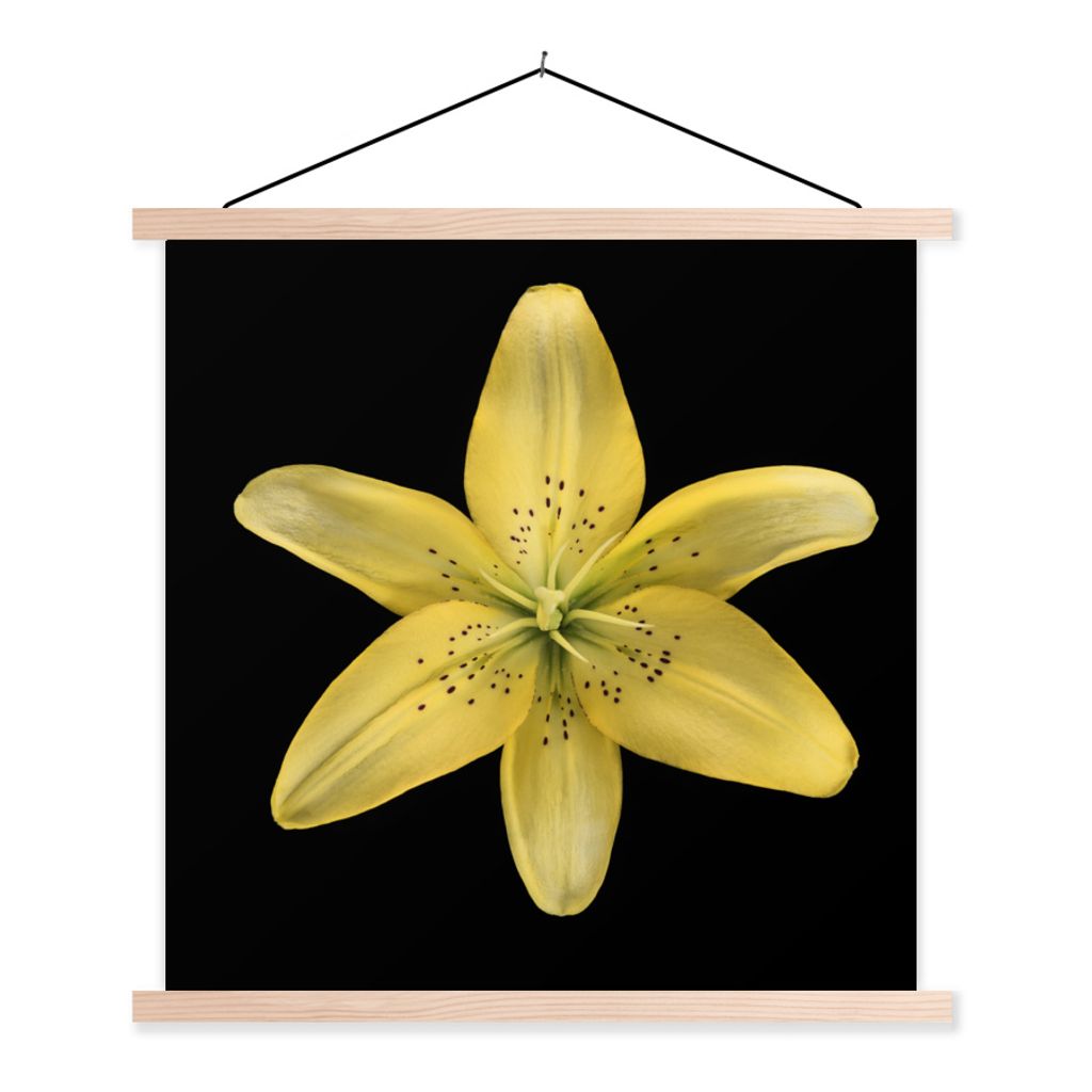 MuchoWow Textilposter Eine gelbe Lilienblüte auf schwarzem Hintergrund 40x40 cm mit holzfarbenen Rahmen - Posterleiste