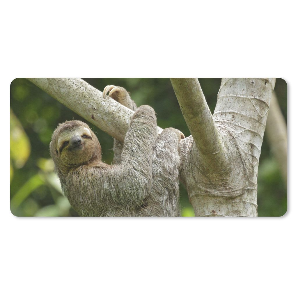 MuchoWow Mauspad Mousepad Ein Faultier hängt an einem Ast 60x30 cm - Mousepads - Maus Mat - Pad - Mausunterlage - Nachhaltig