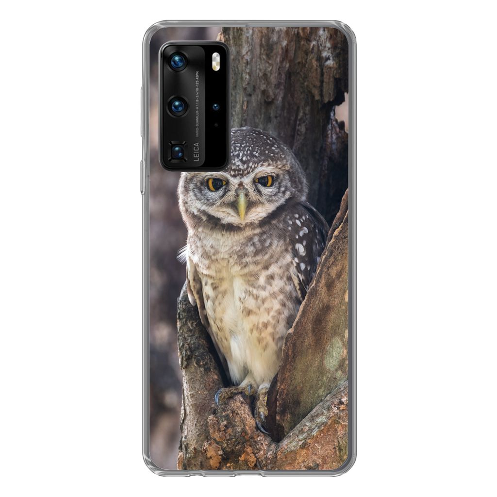 MuchoWow Handyhülle Schutzhülle Hülle für Huawei P40 Pro Eule - Baum - Wald Silikon Softcase Handy Hülle - Schutz
