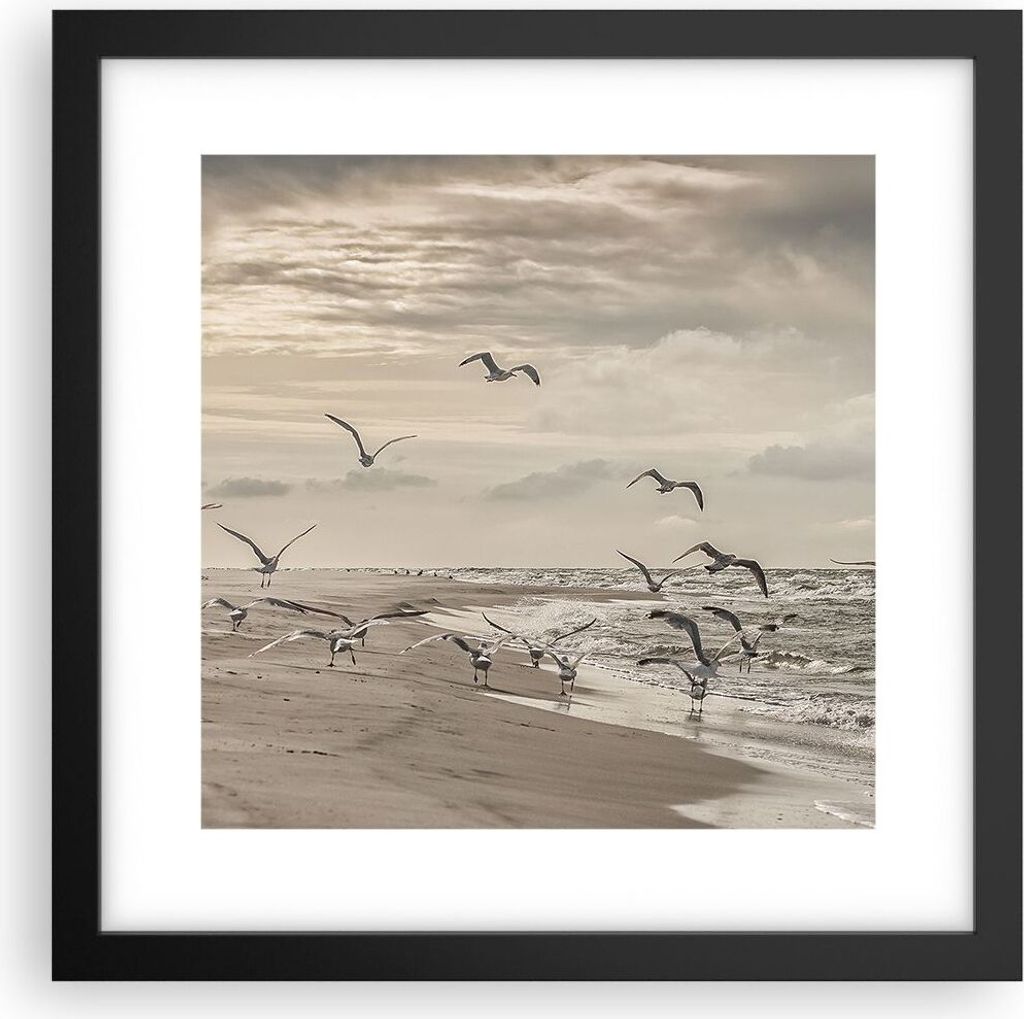 Gerahmtes Poster - Schwarzer Rahmen - Möwen Küste Boho - 30x30 cm - Wand Bild - Wanddeko - Wandbilder - Kunstposter - Wandposter - Bilderrahmen -...