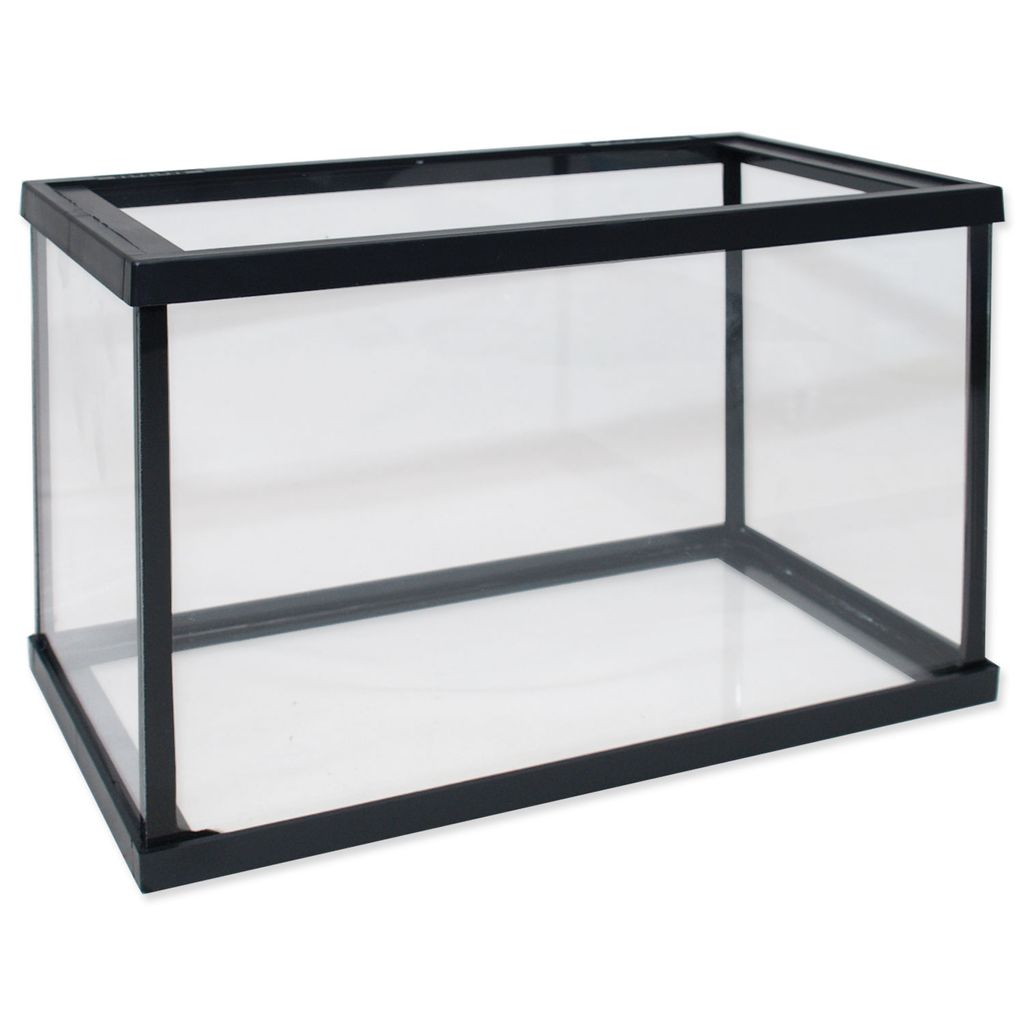 An empty glass aquarium tank with a black frame.