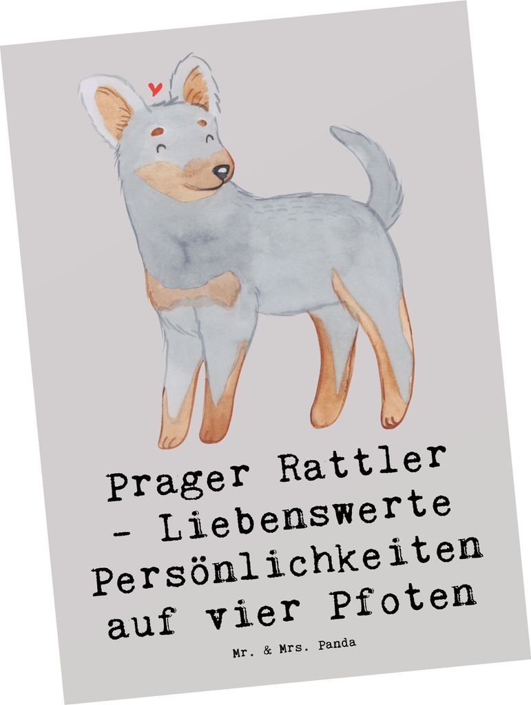 Mr. & Mrs. Panda Postkarte Prager Rattler - Grau Pastell - Geschenk, Grußkarte, kompakter Körperbau, Postkarten, Ansichtskarte, Hunderassen Vielf...