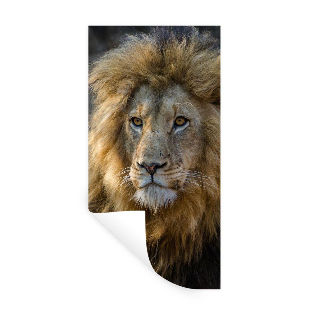 MuchoWow Wandtattoo Wandsticker Wandaufkleber Löwe - Porträt - Wild 40x80 cm Selbstklebend und Repositionierbar - Repositionierbar - Wasser abw...
