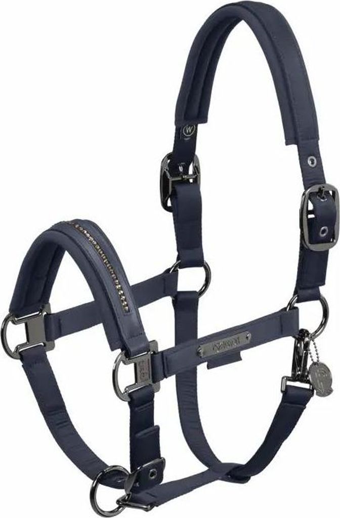 Eskadron Pferde Halfter Double Pin Glossy Crystal atlantic blue Platinum 2024, Größe:P1