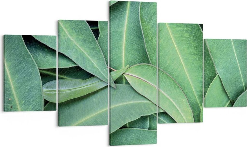 Bild auf Leinwand - Leinwandbild - 5 Teile - Blätter Eukalyptus Natur - 125x70cm - Wand Bild - Wanddeko - Wandbilder - Leinwanddruck - Bilder - Wa...