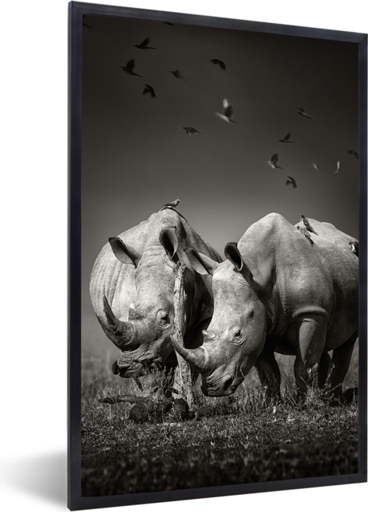 MuchoWow Gerahmtes Poster Nashorn - Vogel - Tiere - Landschaft - Schwarz und weiß 40x60 cm - Poster mit Schwarzem Bilderrahmen Wandposter Rahmen...