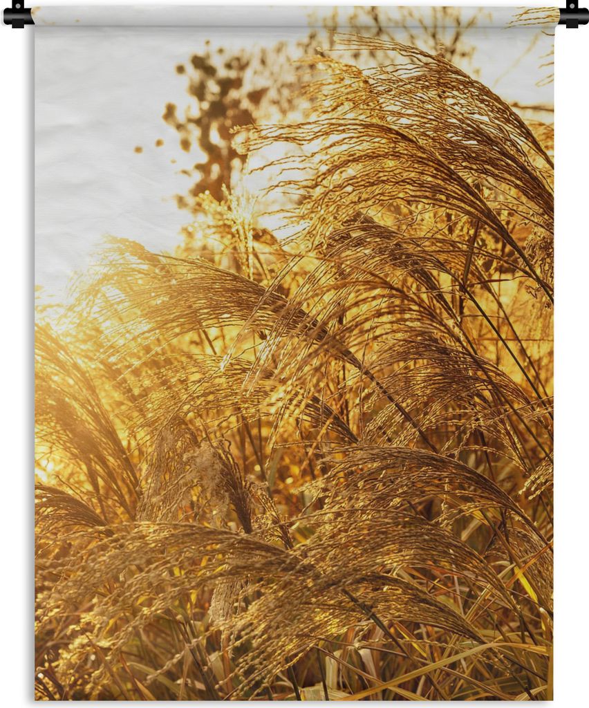 MuchoWow Wandteppich Wandbehang Pampasgras - Sonne - Gras 150x200 cm Tapisserie Dekoration Wandtuch - Wandaufhängung - Moderner