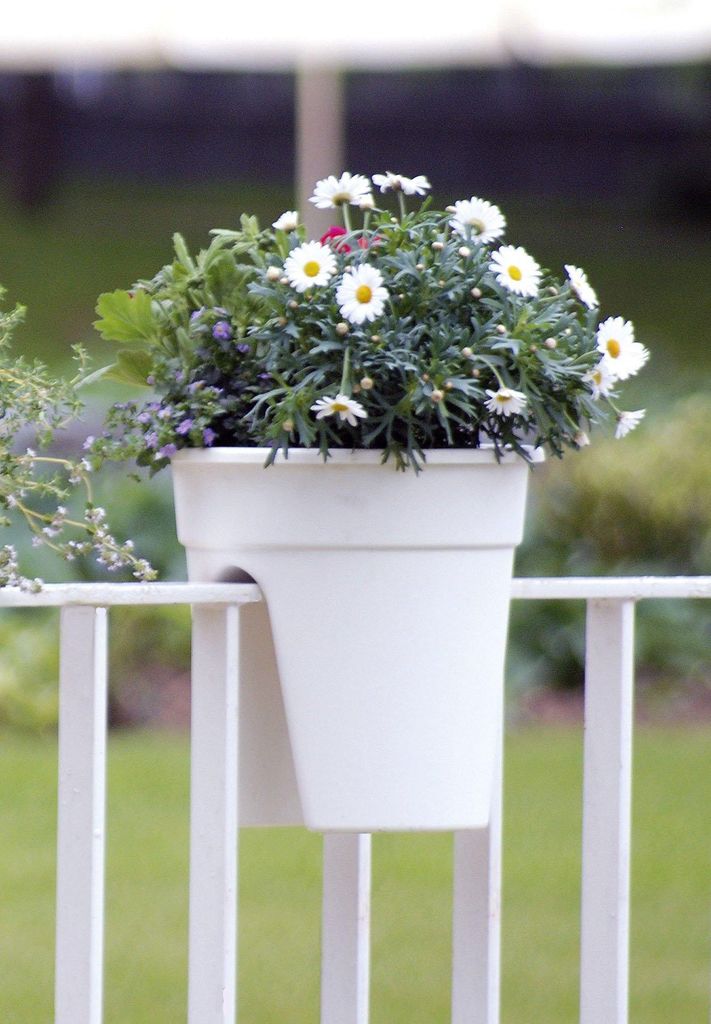 Kwietnik KHW Flowerclip wykonany z wysokiej jakości Zdjęcie produktu 