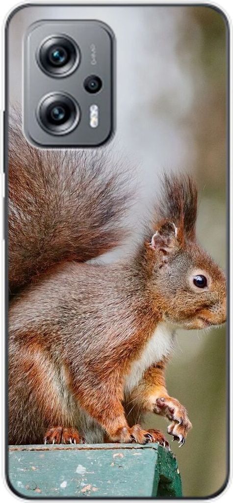 König Design Hülle kompatibel mit Xiaomi Redmi K50i Kunststoff Soft Handyhülle - Handy Case Eichhörnchen