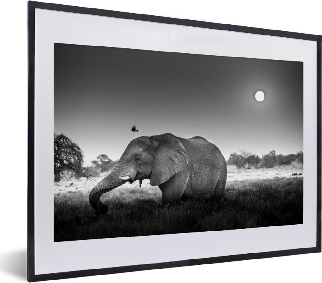 MuchoWow Gerahmtes Poster Sonnenuntergang über einem Elefanten im Gras - schwarz und weiß 40x30 cm - Poster mit Schwarzem Bilderrahmen Wandpost...