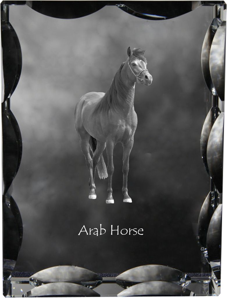 Arabisches Pferd - crystal with a picture of a horse, glass statuette with a picture, unique frame with a picture from Art-Dog brand
