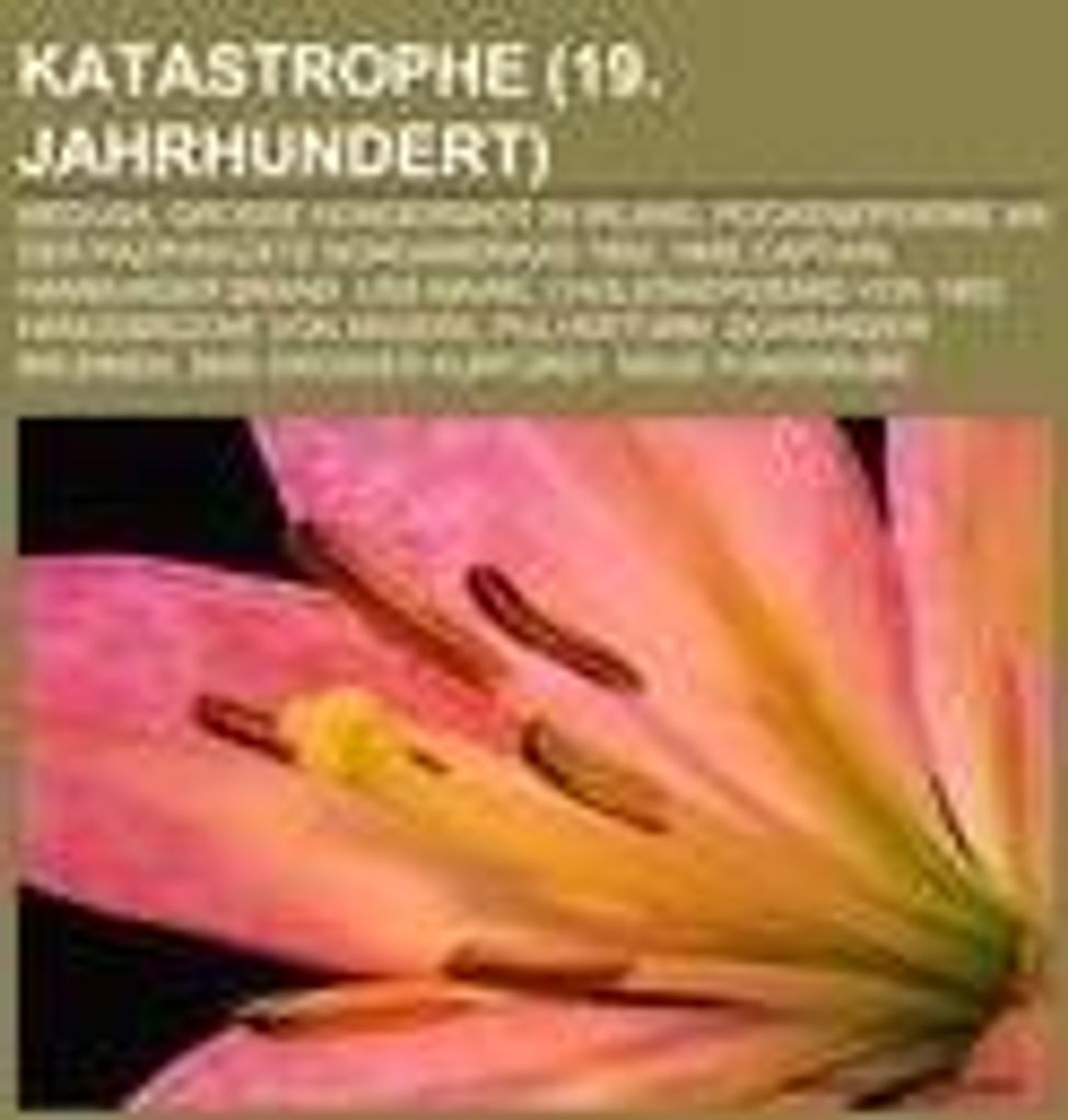 Katastrophe (19. Jahrhundert)