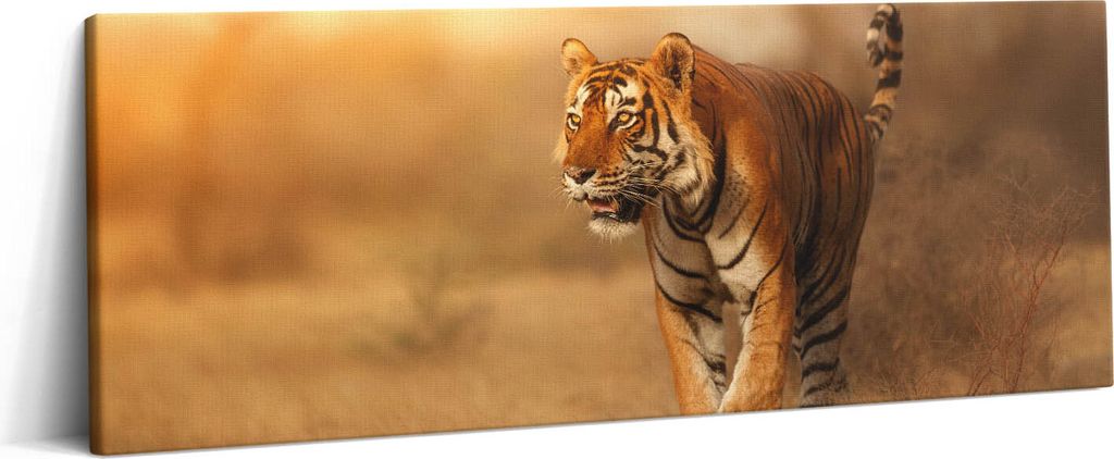 Wilder Tiger auf der Jagd – Leinwandbild Wandbild – 125x50 cm – Leinwandbilder – Wandbilder – Schlafzimmer – Flur