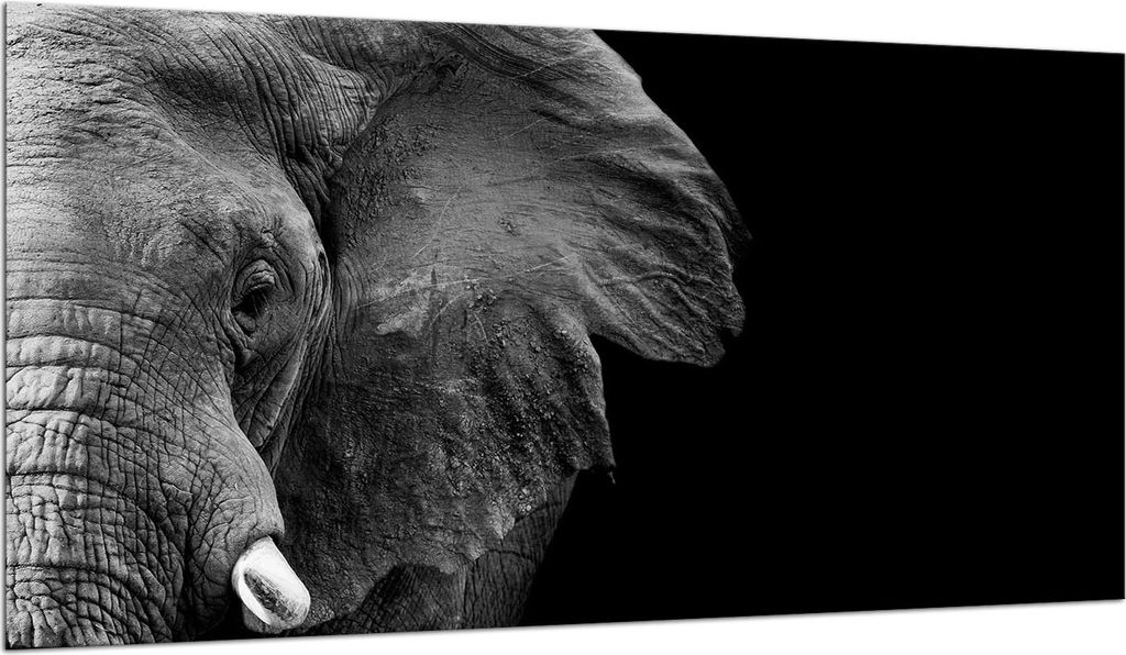 Herdabdeckplatte Glaskeramikkochfeld-Abdeckung Spritzschutz Glas 90x52 Elefant