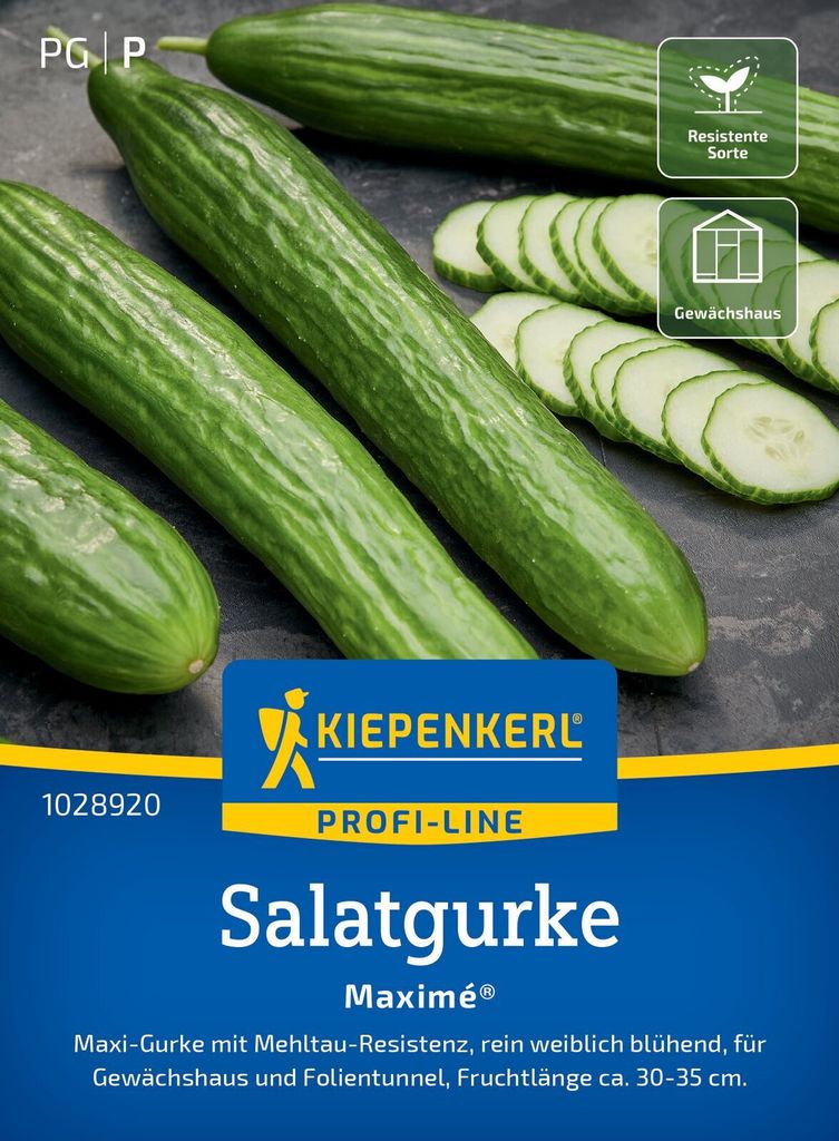 Kiepenkerl Salatgurkensamen Maximé F1 Cucumis sativus 6 Pflanzen