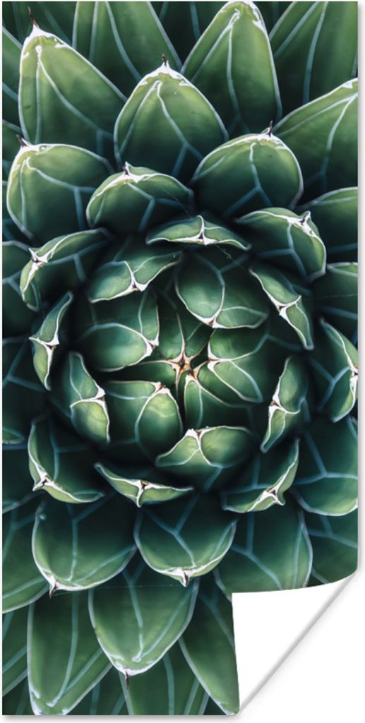MuchoWow Poster Ein grünes Blumenmuster 60x120 cm - Wandschmuck