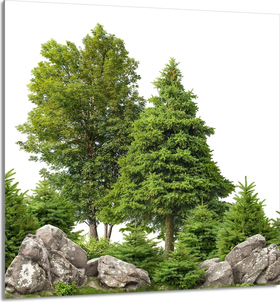 PIATTO IN VETRO PER CUCINA 60x65 alberi