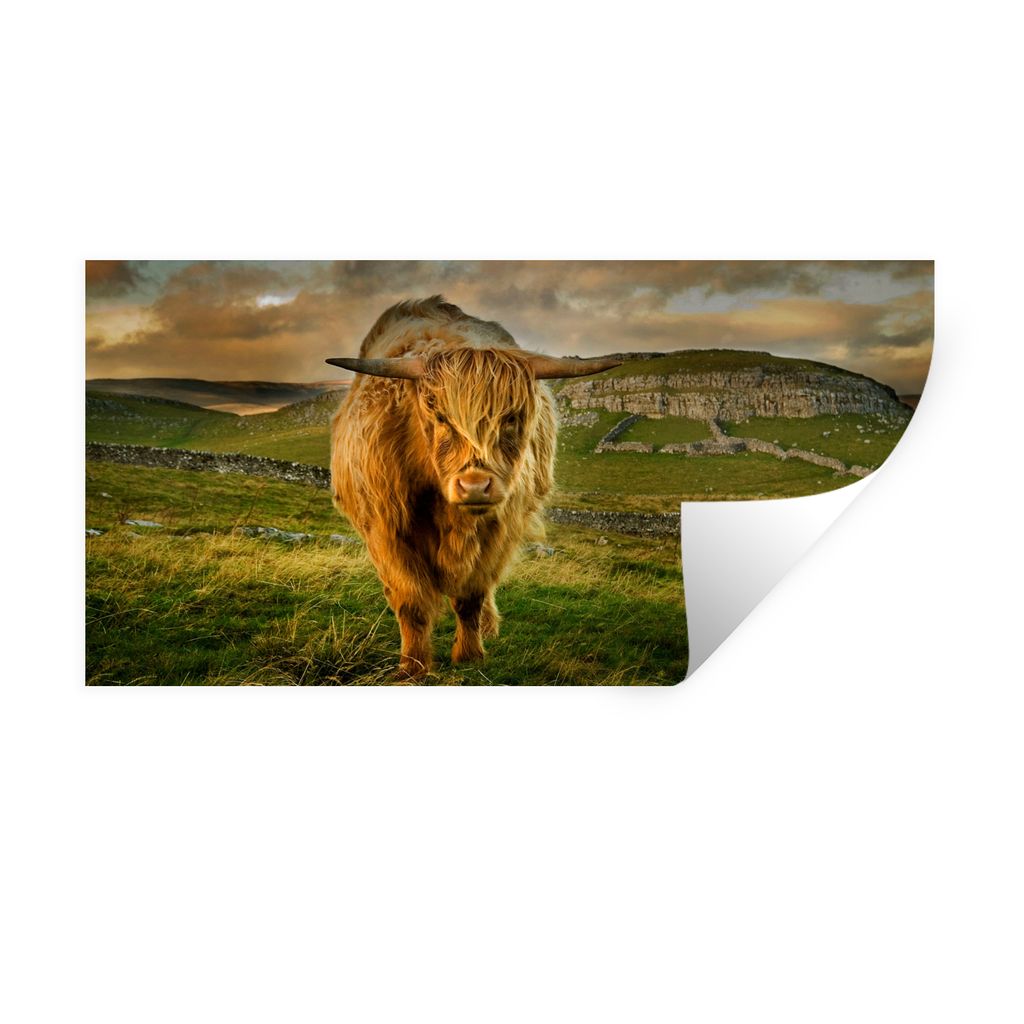 MuchoWow Wandtattoo Wandsticker Wandaufkleber Schottischer Highlander - Gras - Berg 160x80 cm Selbstklebend und Repositionierbar - Sticker - Deko...