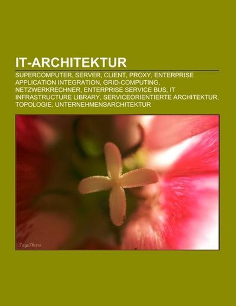 IT-Architektur