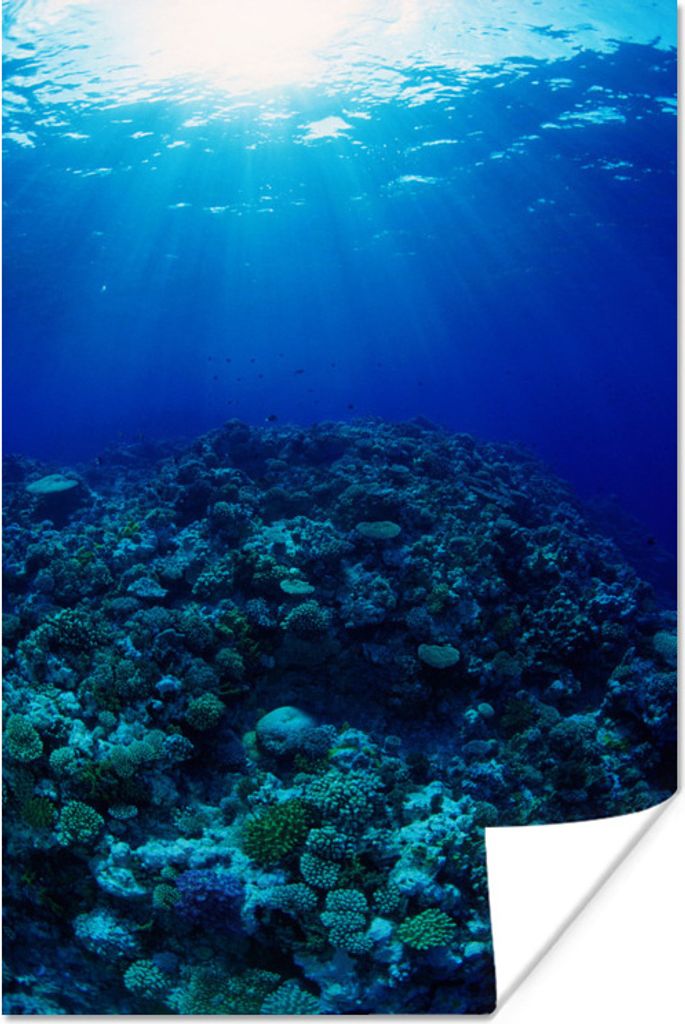 MuchoWow Poster Great Barrier Reef mit Unterwasser-Lichtstrahlern 60x90 cm - Wanddekoration