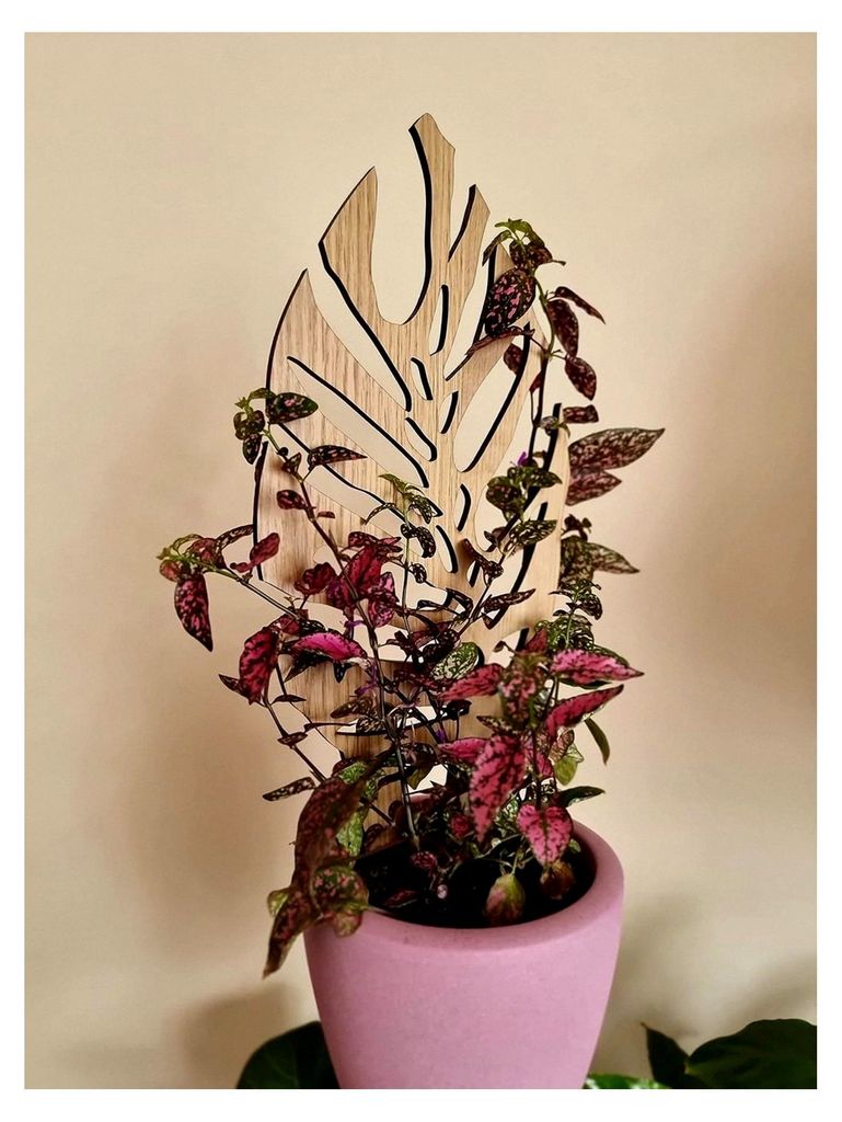 Monstera Pflanzenstütze aus Eichenholz 30 cm | Größe S | Natürliches Rankgitter für Zimmerpflanzen | Innenraum Dekoration