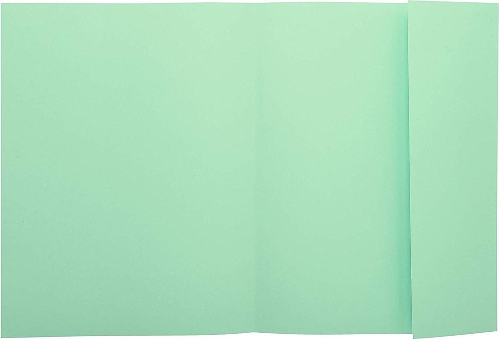 EXACOMPTA Aktendeckel SUPER 250 DIN A4 hellgrün 50 Aktendeckel