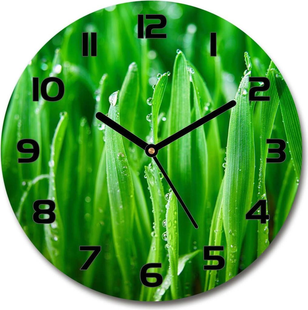 Wanduhr aus Glas 30fi Glasbild Glasuhr Gehärtetes Glas - schwarze-zeiger - Grass