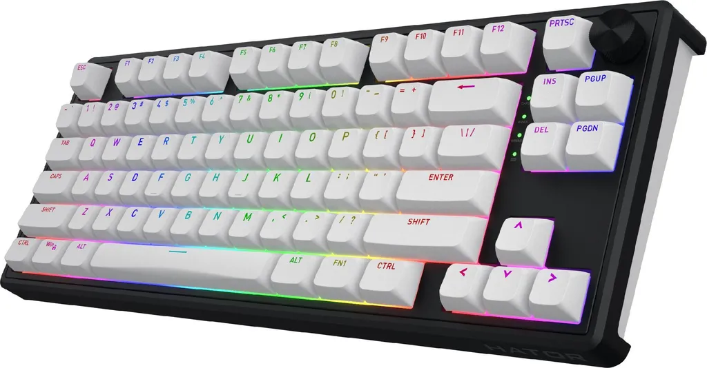 Clavier sans Fil HATOR Skyfall Wireless 80 pour Setup Gaming Épuré