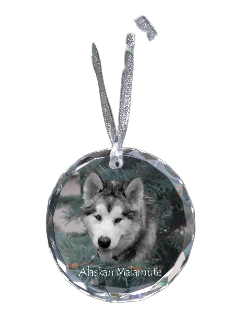 Cristal avec Photo de Chien Malamute - Gravure Laser Art-Dog Haute Qualité