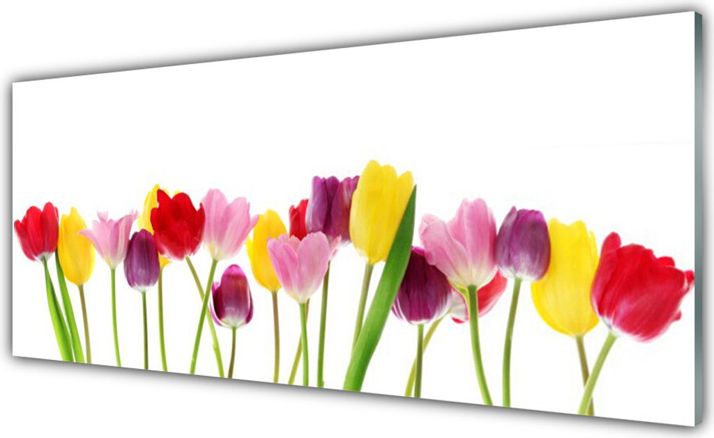Acrylglasbilder 125x50 Wandbild Druck Tulpen Pflanzen