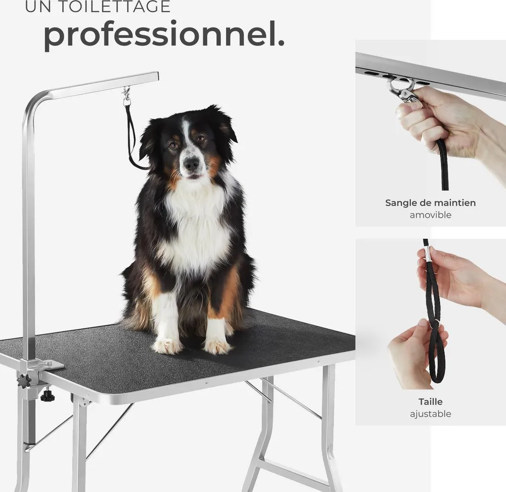 Table de toilettage ergonomique pour petits chiens avec potence - 5
