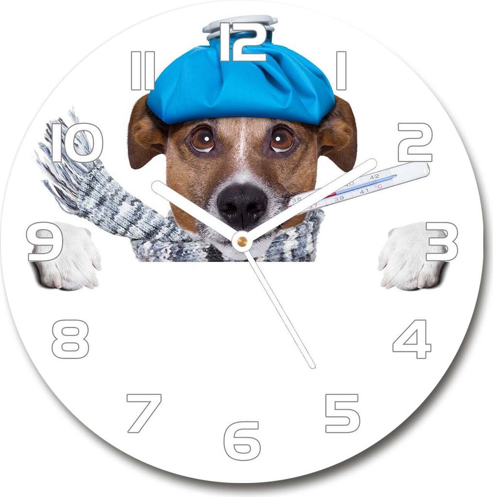 Wanduhr aus Glas 30fi Glasbild Glasuhr Gehärtetes Glas - weisse-zeiger - Ill dog