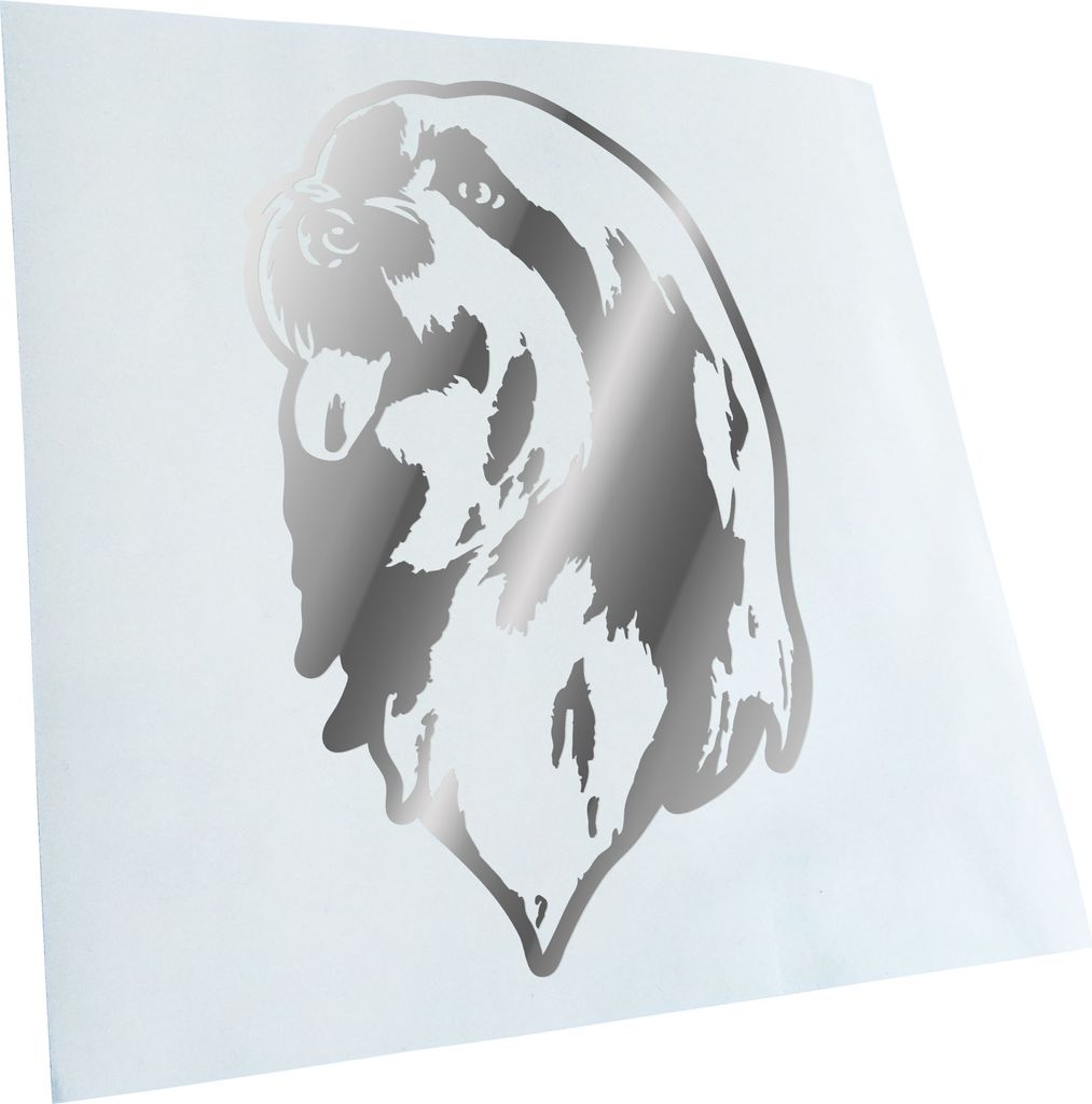 Kiwistar - Autoaufkleber - Bearded Collie Hund - Chrom - 60x38cm - Aufkleber für Auto, Laptop, Fahrrad, LKW, Motorrad mehrfarbig JDM Decal Racing