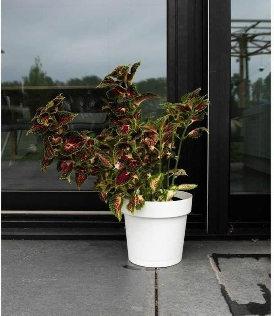 Selbstbewässernder Blumentopf Garden ID Weiß