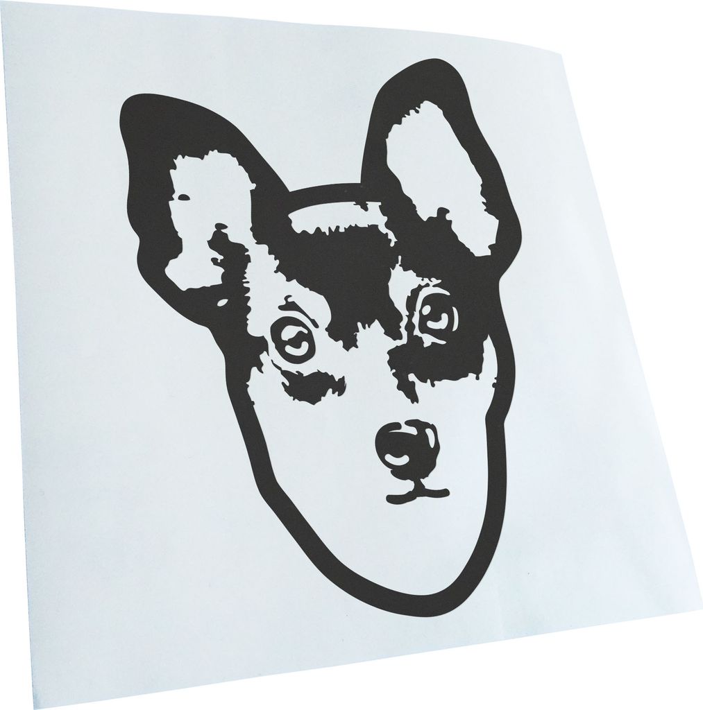 Kiwistar - Autoaufkleber - Toy Fox Terrier Hund - Dunkelgrau - 40x29cm - Aufkleber für Auto, Laptop, Fahrrad, LKW, Motorrad Mehrfarbig JDM Decal R...