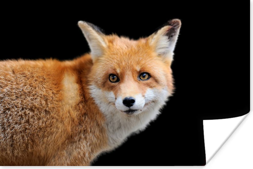 MuchoWow Poster Fuchs - Tier - Porträt 90x60 cm - Schlafzimmer