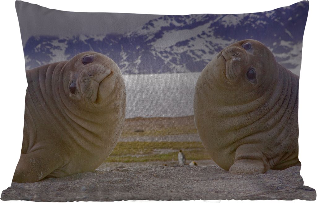 MuchoWow Outdoor Kissen - Robben - Lustig - Kinder - Jungen - Mädchen - Kinder - 60x40 cm - Wetterfest - Lounge Kissen - Zierkissen - Kissen fü...