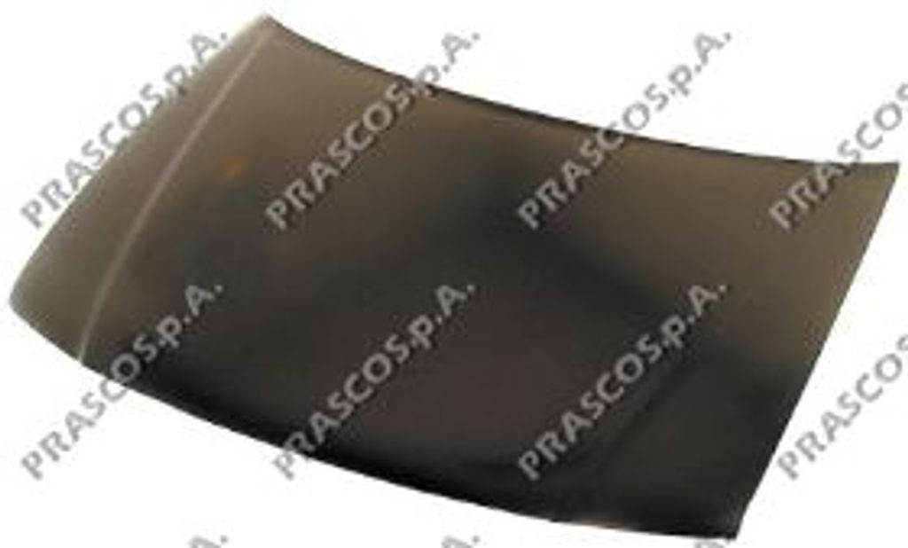 Prasco Motorhaube AD0163100