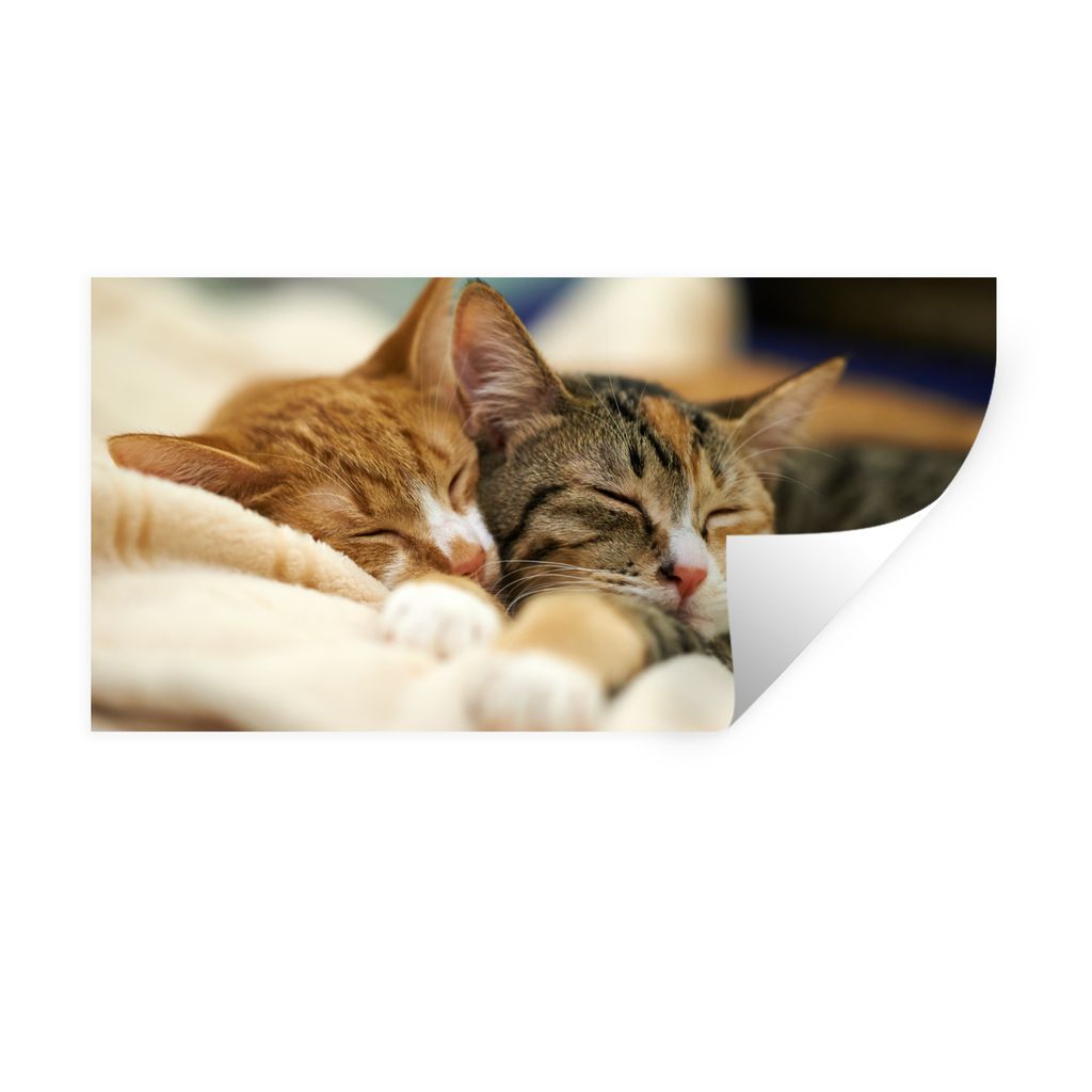 MuchoWow Wandtattoo Wandsticker Wandaufkleber Katzen - Schlafen - Vorleger 160x80 cm Selbstklebend und Repositionierbar - Sticker - Dekorfolie
