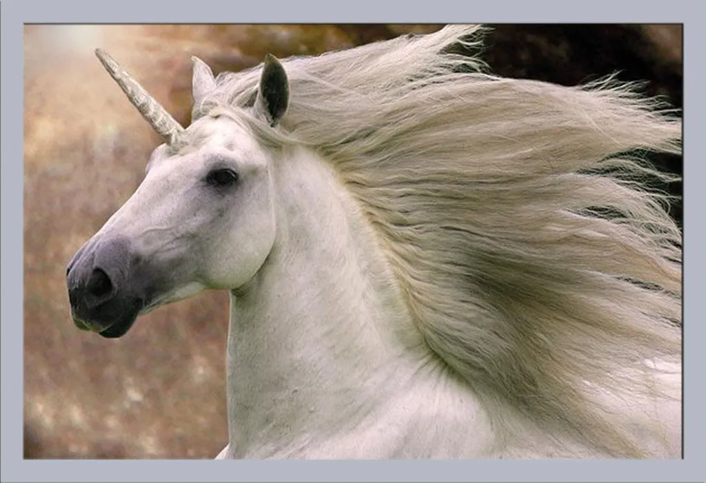 Arredo Parete: Poster Unicorno Bob Langrish + Cornice Silver Shinsuke