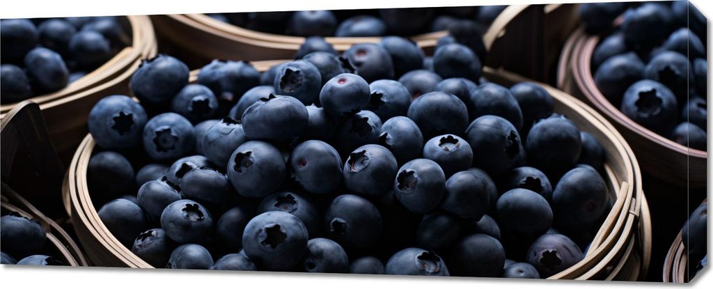 Bild 100x40cm Reichtum der Aromen