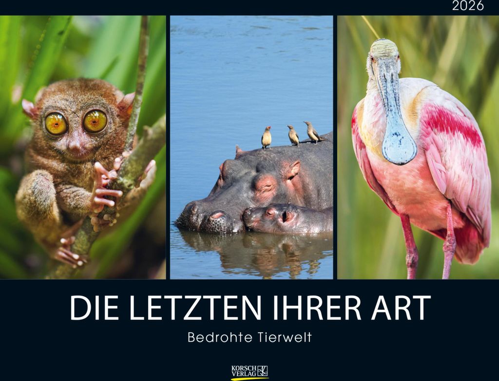 Bedrohte Tierwelt 2026 Produktbild 