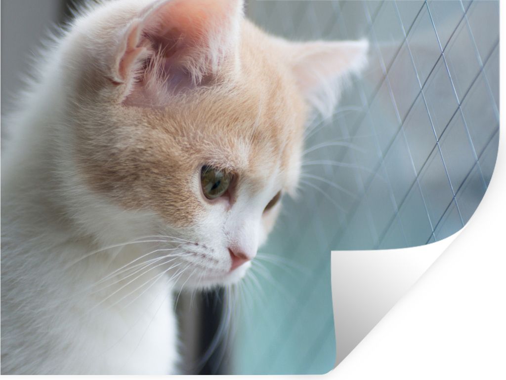 MuchoWow - Faltenfrei