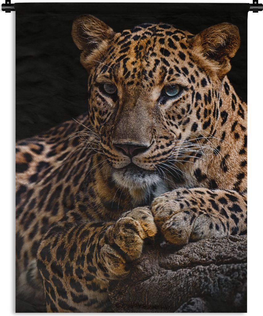 MuchoWow Wandteppich Wandbehang Wildtiere - Panther - Porträt - Schwarz - Tiere 90x120 cm Tapisserie Dekoration Wandtuch - Wanddeko