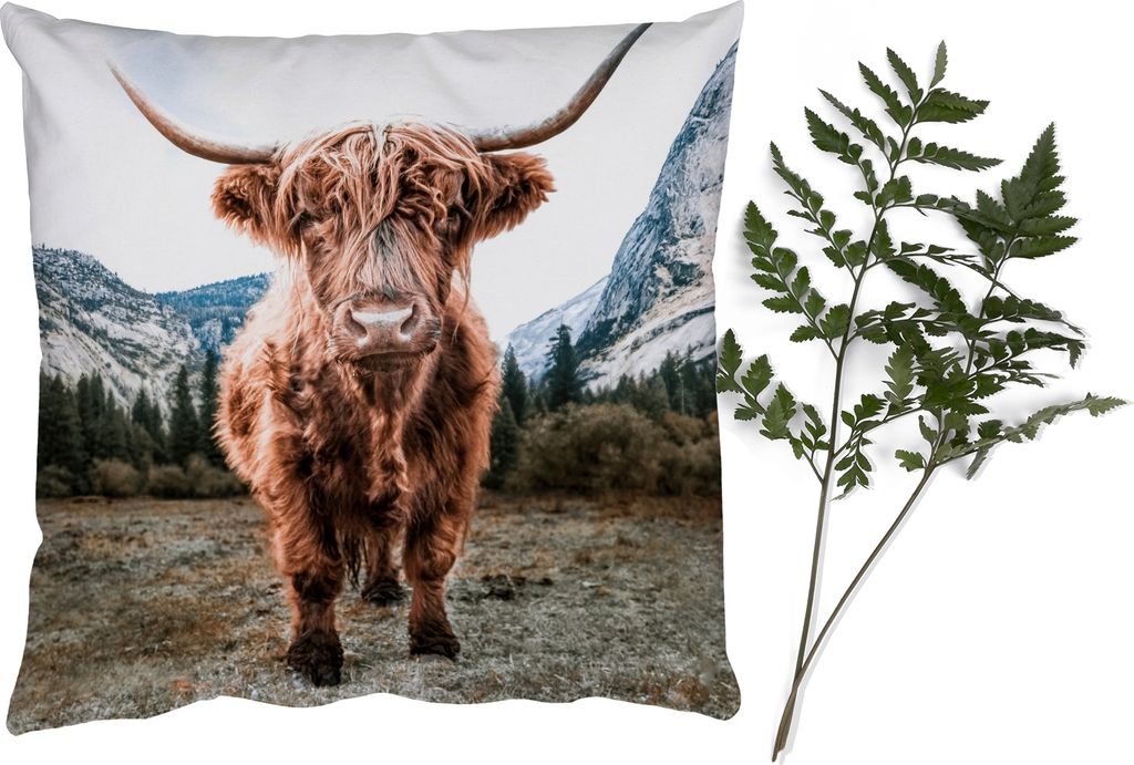 MuchoWow Zierkissen Sofakissen Wohnzimmer Dekokissen 45x45 cm Schottisches Hochlandrind - Berg - Tiere - Schlafpolster - Polster für das Sofa