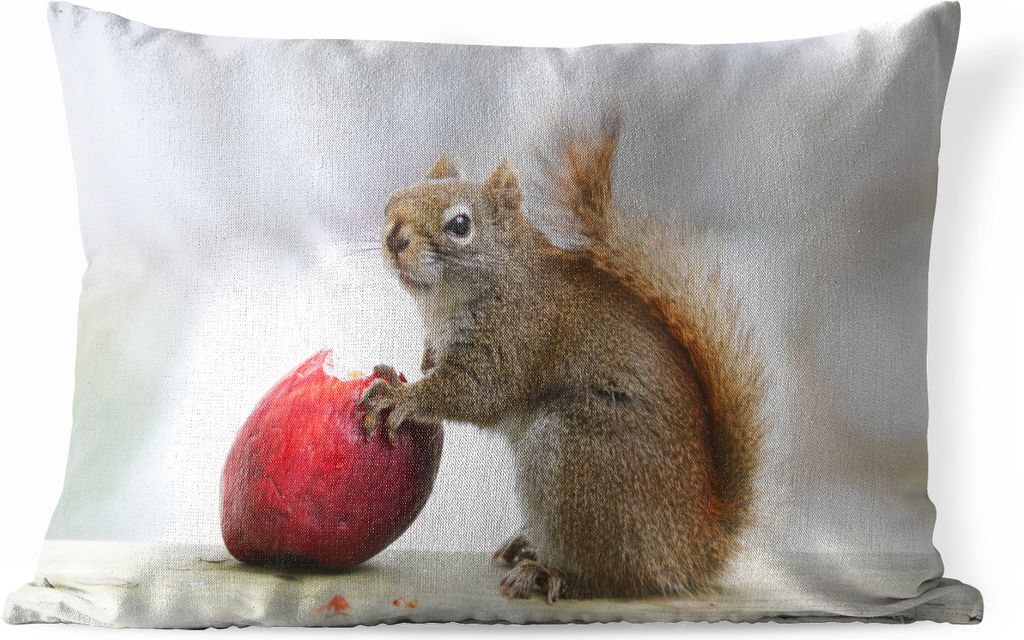 MuchoWow Outdoor Kissen - Eichhörnchen isst einen Apfel - 60x40 cm - Wetterfest - Lounge Kissen - Zierkissen - Kissen für Innenräume