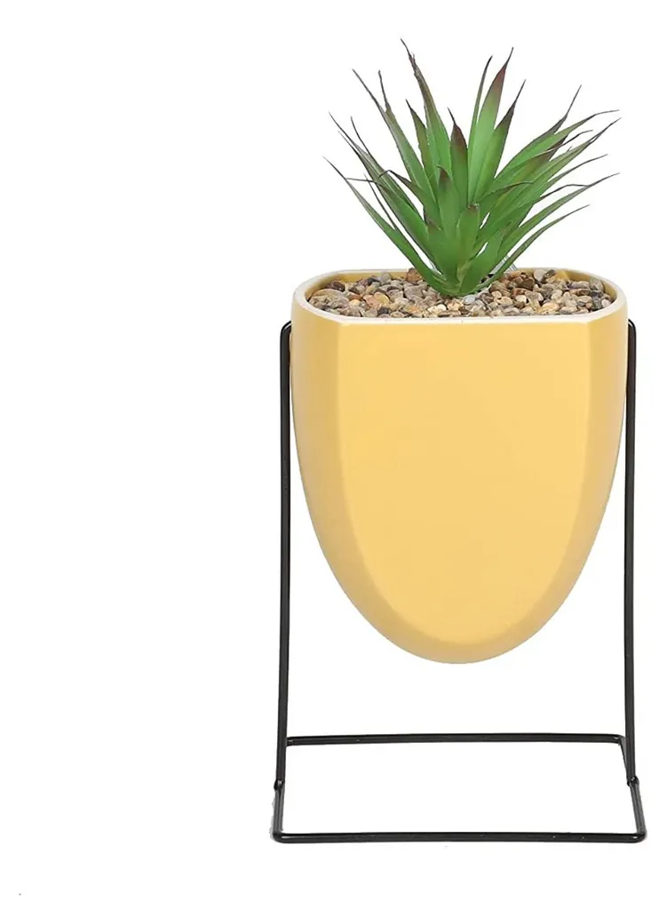 Plante Halo sans entretien feuilles vert ocre sur pied pour intérieur sombre