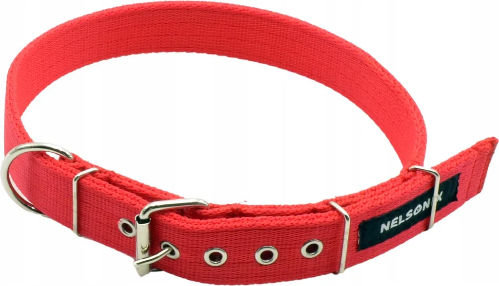 Nelson-X Taglia L: Collare Sicurezza Cani Piccola Taglia Polonia